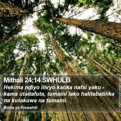 Mithali 24:14 SWHULB Bible Verse Image