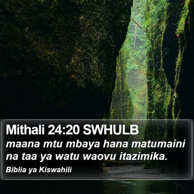 Mithali 24:20 SWHULB Bible Verse Image