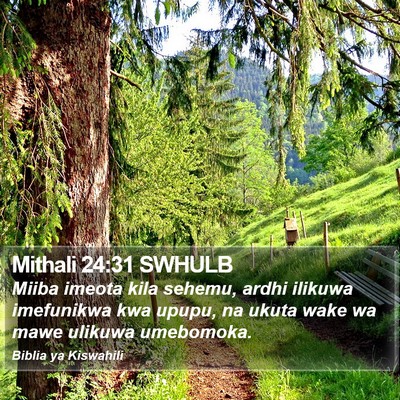 Mithali 24:31 SWHULB Bible Verse Image