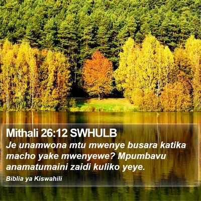 Mithali 26:12 SWHULB Bible Verse Image