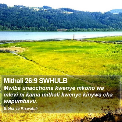 Mithali 26:9 SWHULB Bible Verse Image