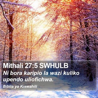Mithali 27:5 SWHULB Bible Verse Image