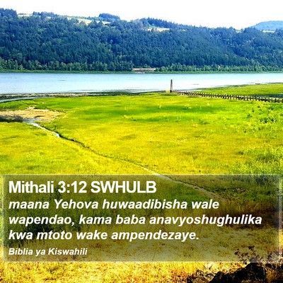 Mithali 3:12 SWHULB Bible Verse Image