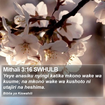 Mithali 3:16 SWHULB Bible Verse Image