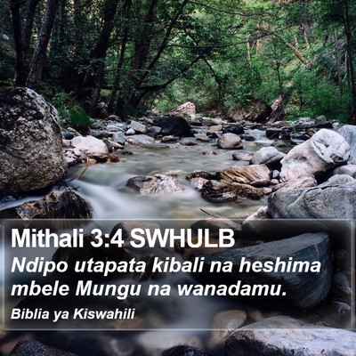 Mithali 3:4 SWHULB Bible Verse Image