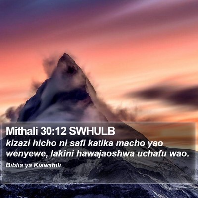 Mithali 30:12 SWHULB Bible Verse Image