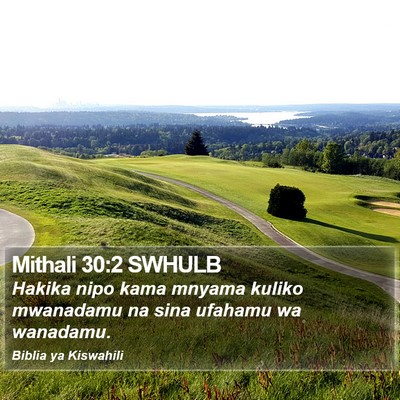 Mithali 30:2 SWHULB Bible Verse Image