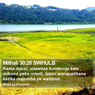 Mithali 30:28 SWHULB Bible Verse Image