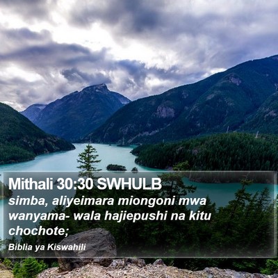 Mithali 30:30 SWHULB Bible Verse Image