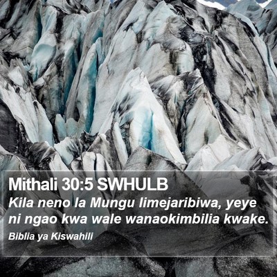 Mithali 30:5 SWHULB Bible Verse Image