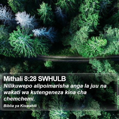 Mithali 8:28 SWHULB Bible Verse Image