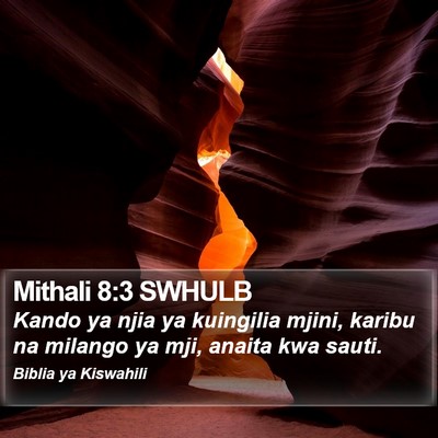 Mithali 8:3 SWHULB Bible Verse Image