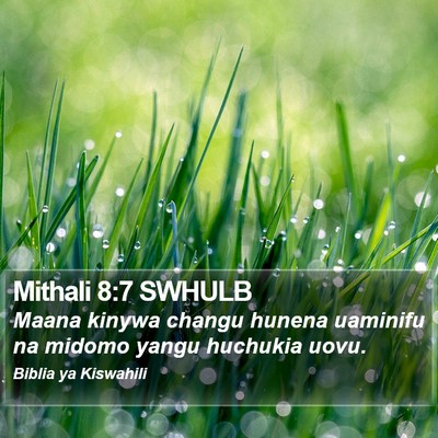 Mithali 8:7 SWHULB Bible Verse Image