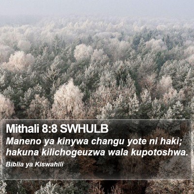Mithali 8:8 SWHULB Bible Verse Image