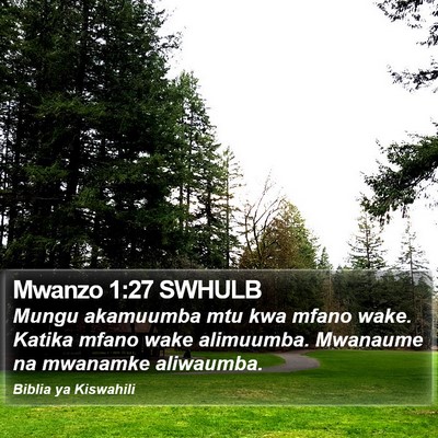 Mwanzo 1:27 SWHULB Bible Verse Image