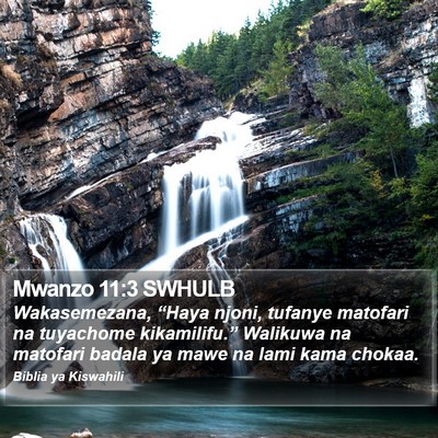 Mwanzo 11:3 SWHULB Bible Verse Image