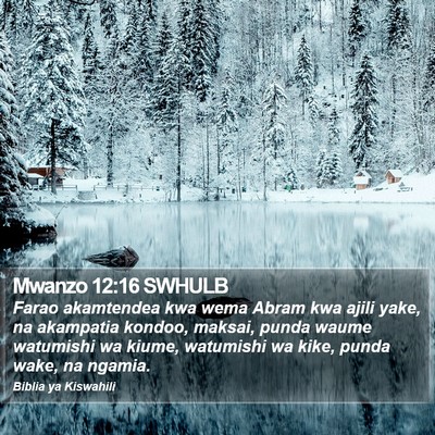 Mwanzo 12:16 SWHULB Bible Verse Image
