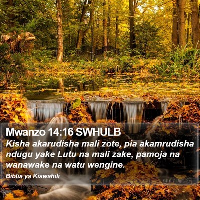 Mwanzo 14:16 SWHULB Bible Verse Image