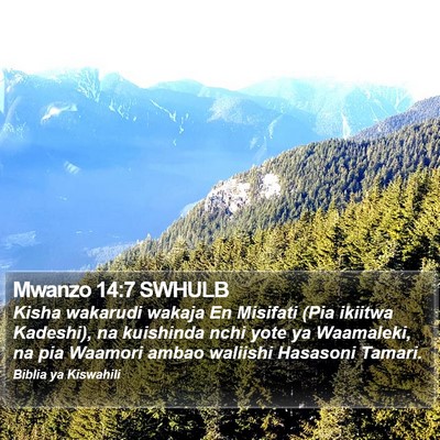 Mwanzo 14:7 SWHULB Bible Verse Image