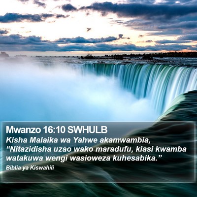 Mwanzo 16:10 SWHULB Bible Verse Image