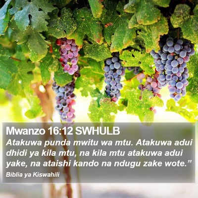Mwanzo 16:12 SWHULB Bible Verse Image