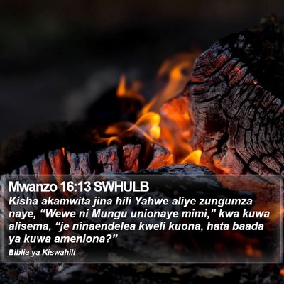 Mwanzo 16:13 SWHULB Bible Verse Image