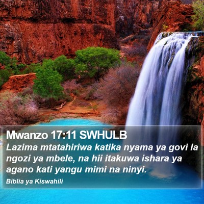 Mwanzo 17:11 SWHULB Bible Verse Image