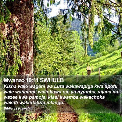 Mwanzo 19:11 SWHULB Bible Verse Image