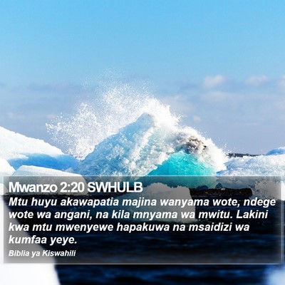 Mwanzo 2:20 SWHULB Bible Verse Image