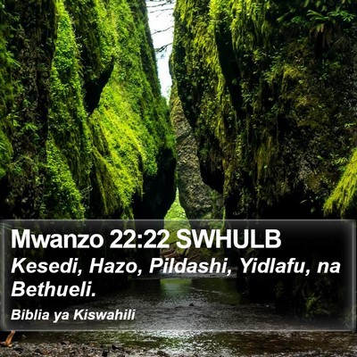 Mwanzo 22:22 SWHULB Bible Verse Image