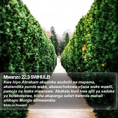 Mwanzo 22:3 SWHULB Bible Verse Image