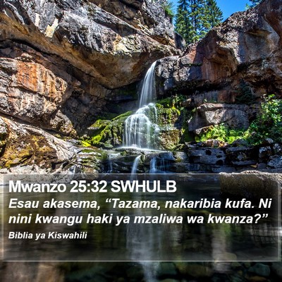 Mwanzo 25:32 SWHULB Bible Verse Image