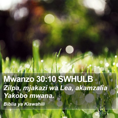 Mwanzo 30:10 SWHULB Bible Verse Image