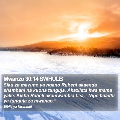 Mwanzo 30:14 SWHULB Bible Verse Image
