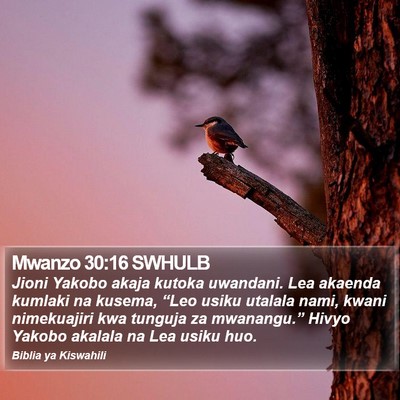 Mwanzo 30:16 SWHULB Bible Verse Image