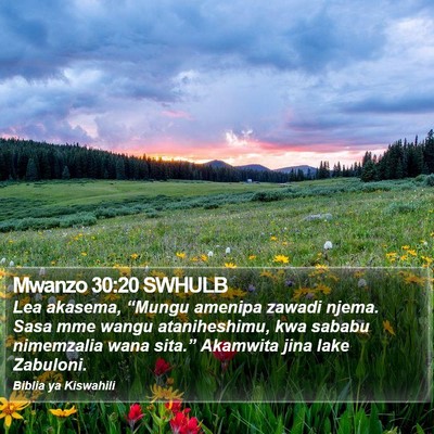 Mwanzo 30:20 SWHULB Bible Verse Image