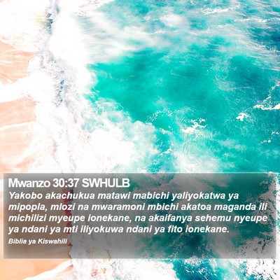 Mwanzo 30:37 SWHULB Bible Verse Image