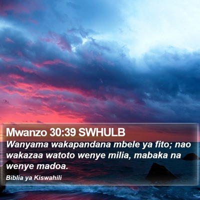 Mwanzo 30:39 SWHULB Bible Verse Image