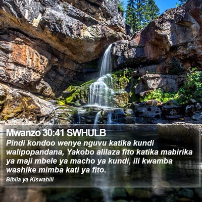 Mwanzo 30:41 SWHULB Bible Verse Image