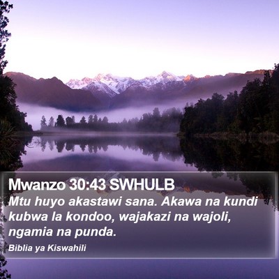 Mwanzo 30:43 SWHULB Bible Verse Image