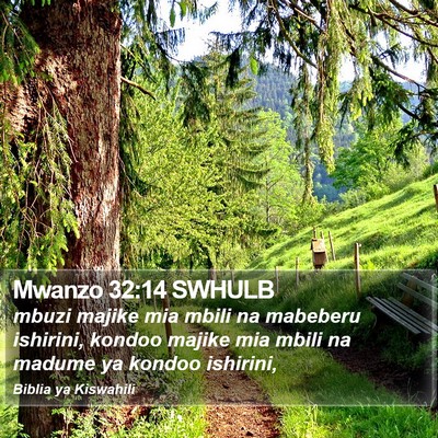 Mwanzo 32:14 SWHULB Bible Verse Image