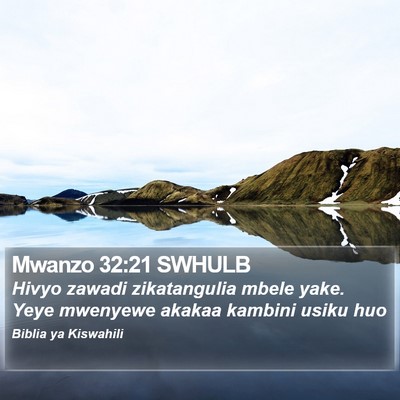 Mwanzo 32:21 SWHULB Bible Verse Image