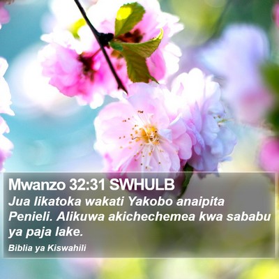 Mwanzo 32:31 SWHULB Bible Verse Image
