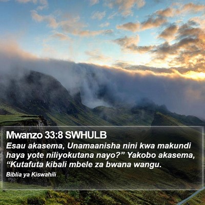 Mwanzo 33:8 SWHULB Bible Verse Image