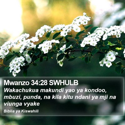 Mwanzo 34:28 SWHULB Bible Verse Image