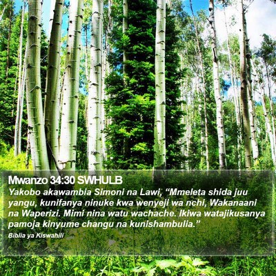 Mwanzo 34:30 SWHULB Bible Verse Image