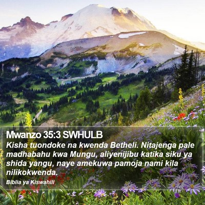 Mwanzo 35:3 SWHULB Bible Verse Image