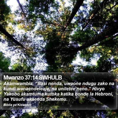 Mwanzo 37:14 SWHULB Bible Verse Image
