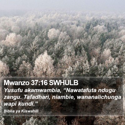 Mwanzo 37:16 SWHULB Bible Verse Image