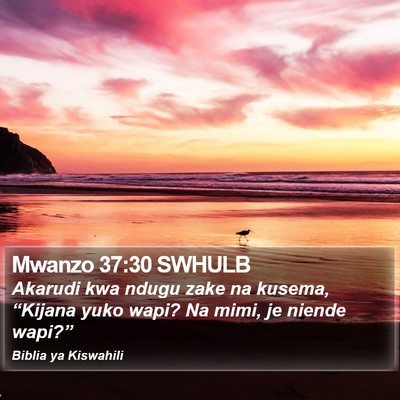 Mwanzo 37:30 SWHULB Bible Verse Image